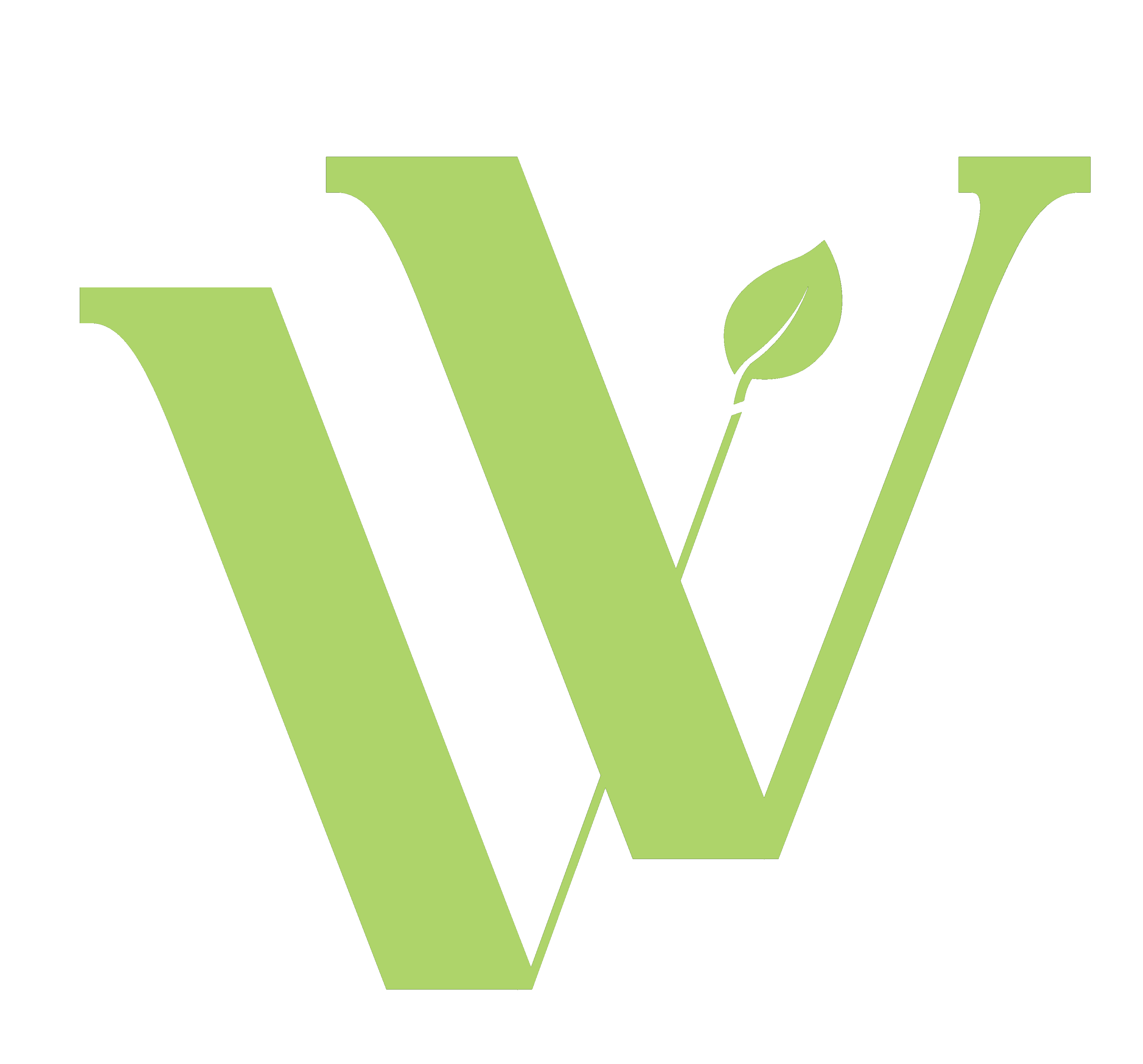 VV Logo